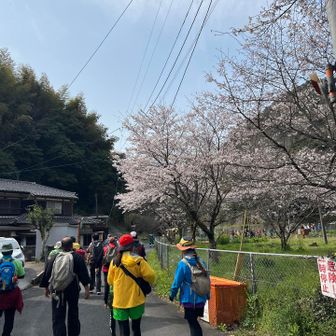 レッツオルレ🚶‍♀️