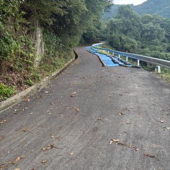 舗装路に合流
キツいのはここまで