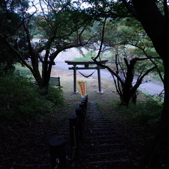 刈り払いありがとうございます