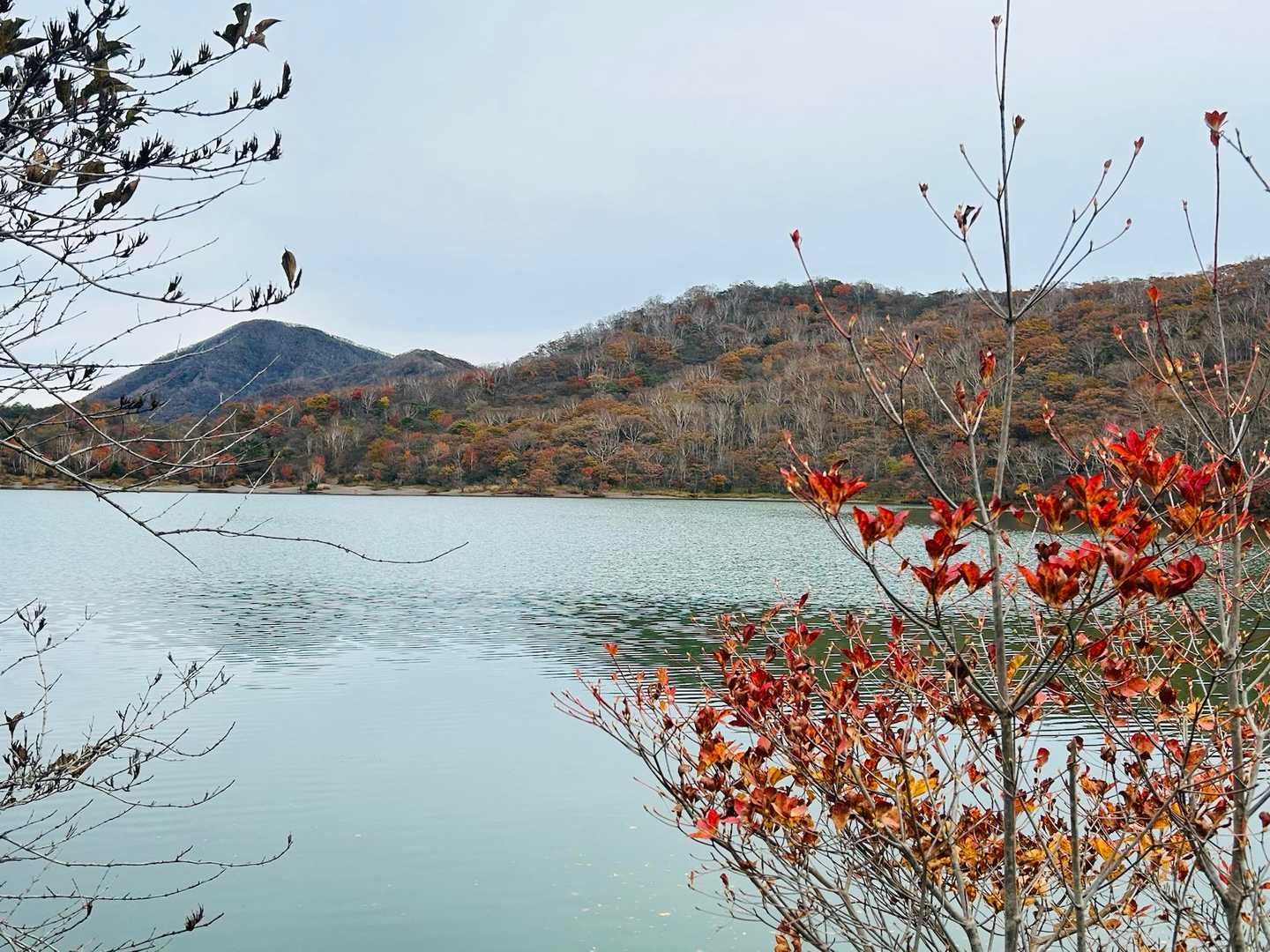 小沼周辺の紅葉🍁が最高！！