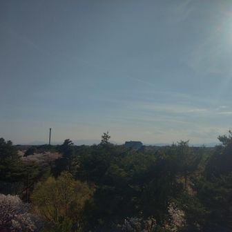 荒幡の富士から