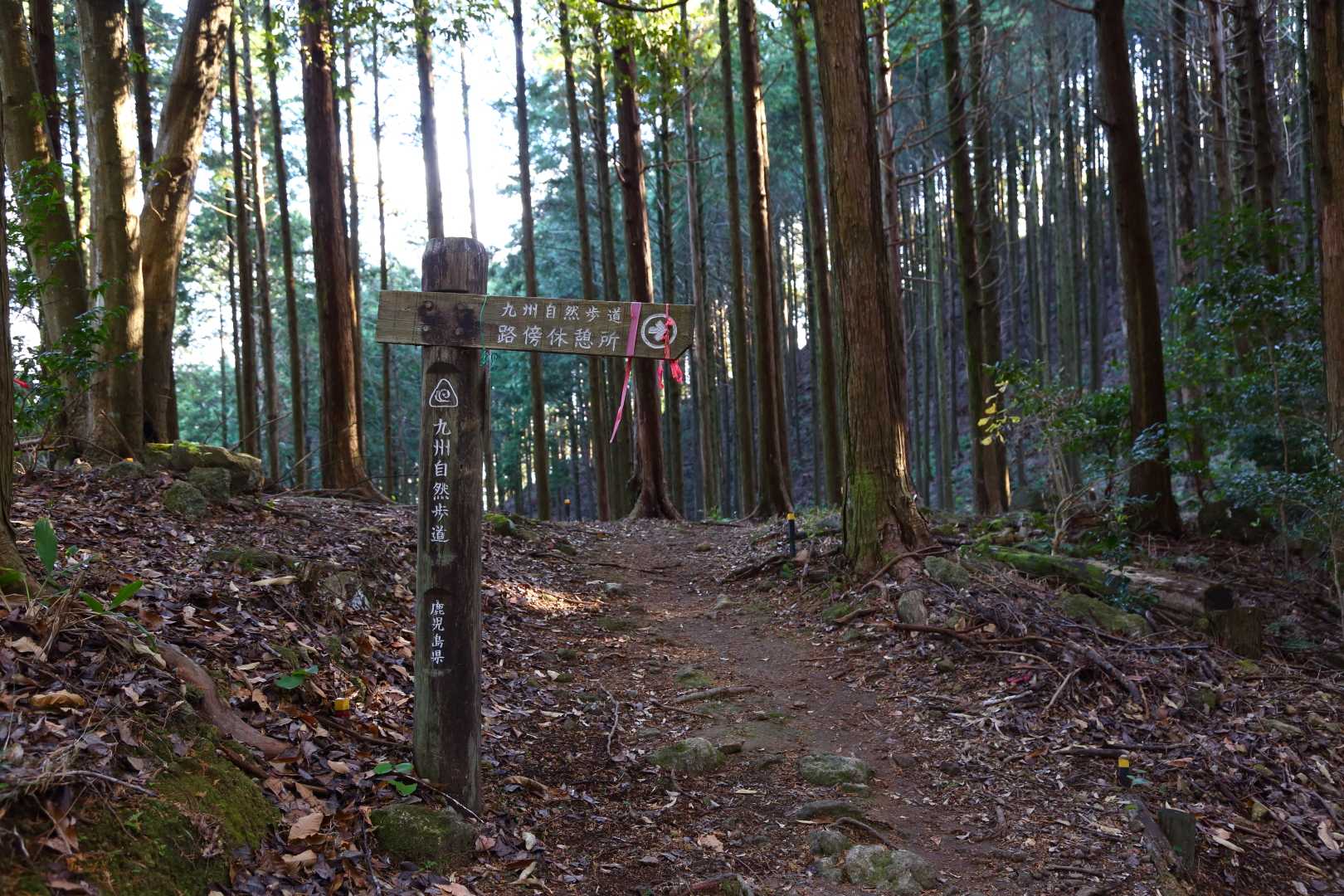 愛宕山入口-舟見岳-舟見岳入口-交蔓山-片城山-飯盛山 周回コースの写真