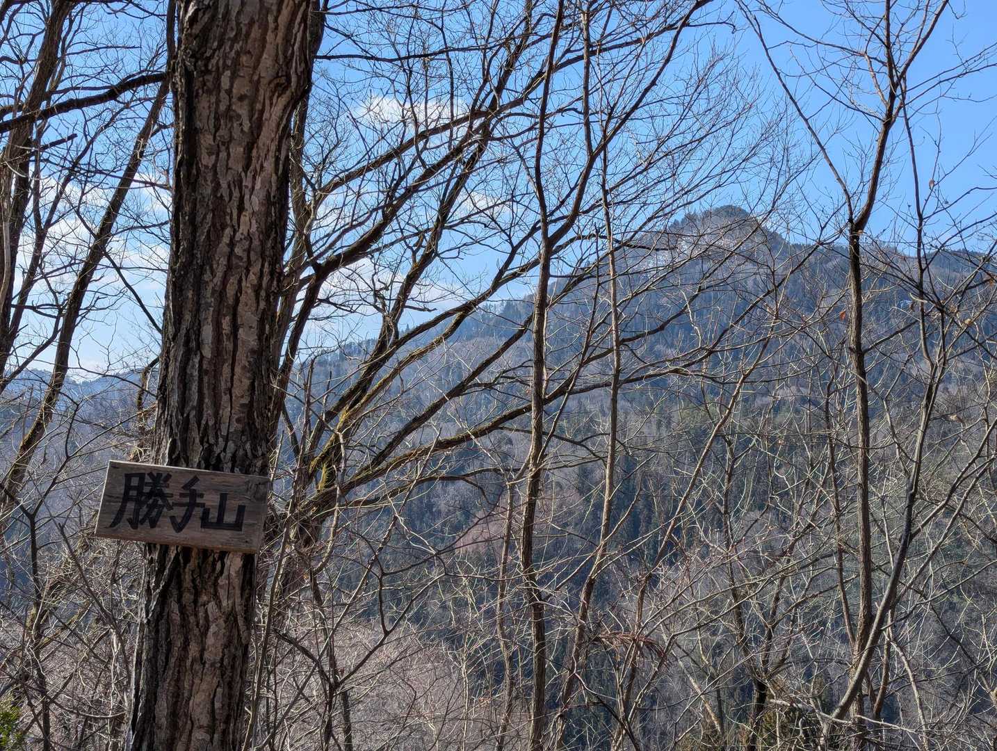 ここは、勝手山って言うんだ?!