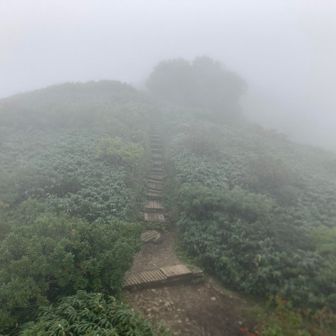 山頂への階段。