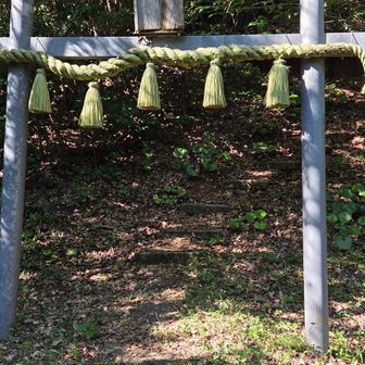 ⛩️を潜り参拝
頭を垂れながら登ります←疲れてくると下を向く🐴姐さん