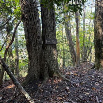 トバノ岩山🙌ルートを間違えたので戻って登りました