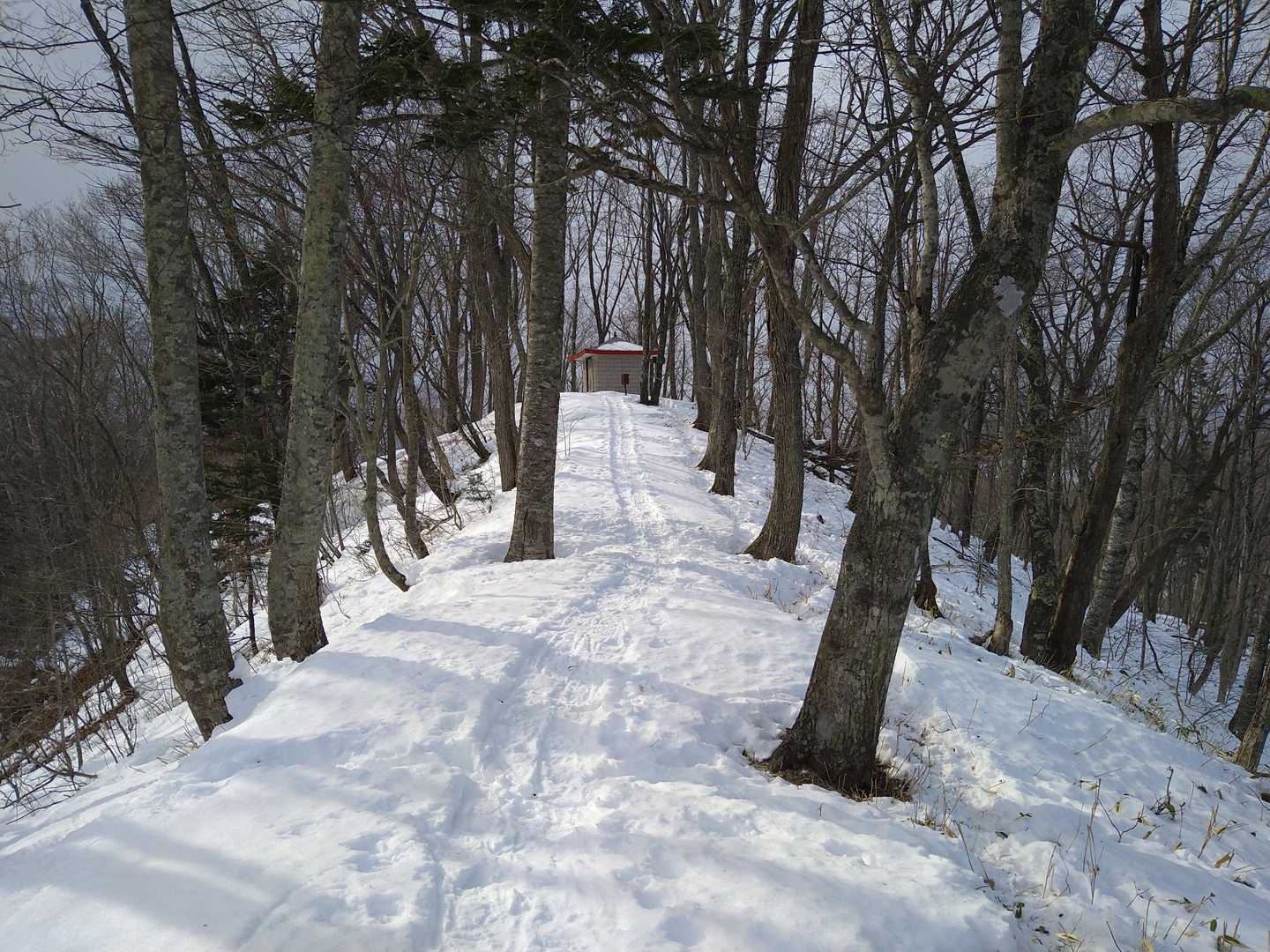 丸山（北海道広尾郡広尾町字茂寄）の写真