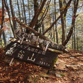 再びの高谷山。
ここまでは来る人は多いようですが、みんなここで引き返します😆