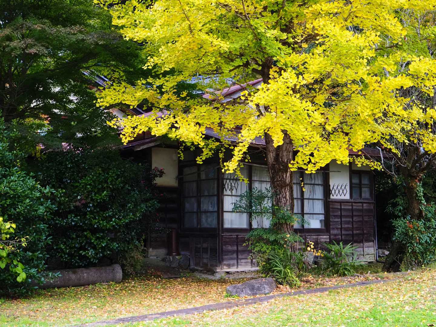 名郷バス停-ウノタワ-天神山-鳥首峠 周回コースの写真