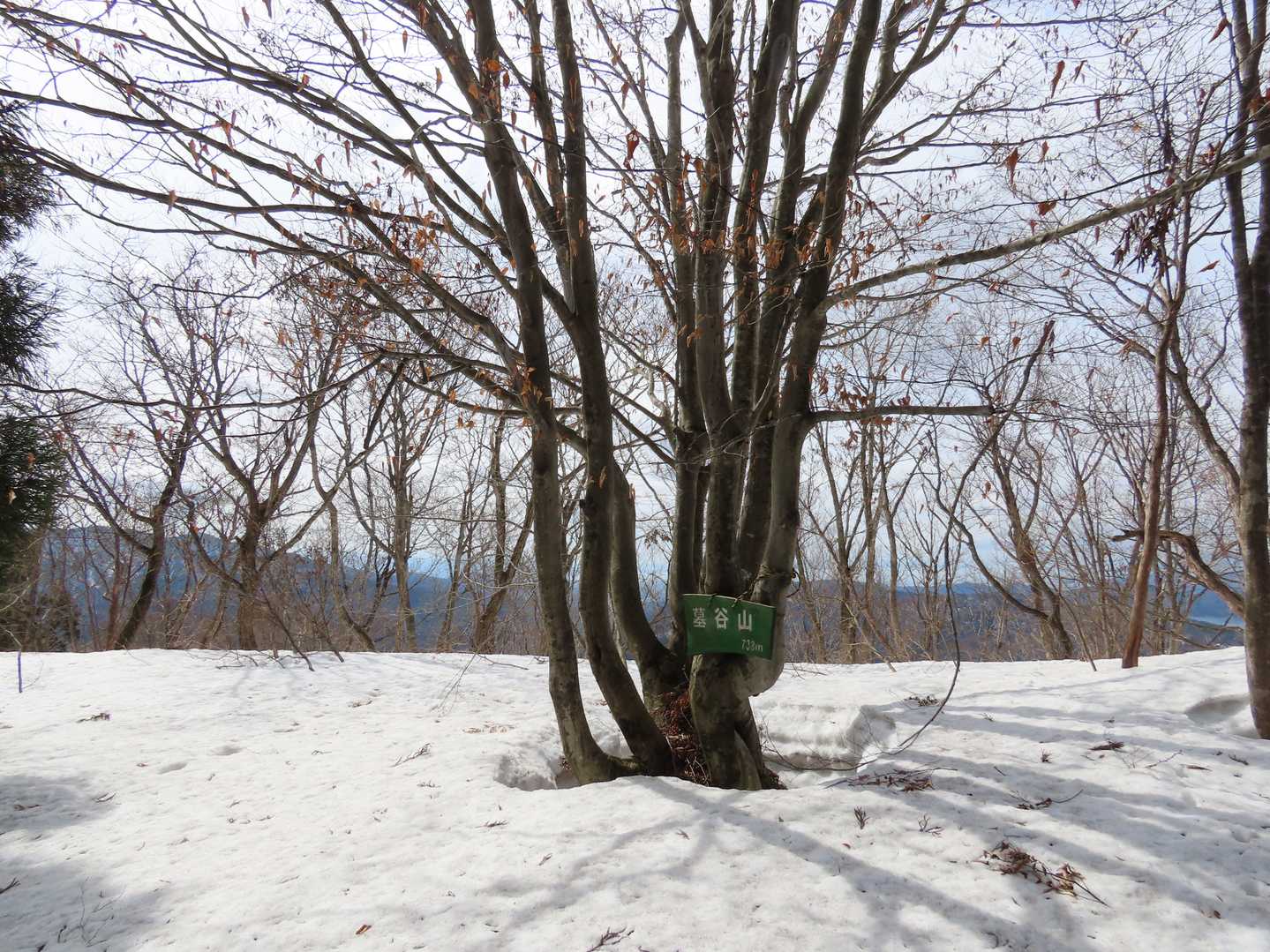 山頂トウチャコ👍