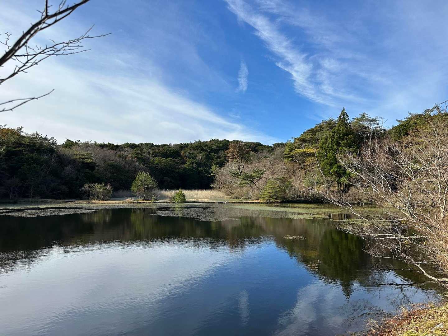 山頂直下の中の池