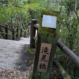 滝見橋に着きました