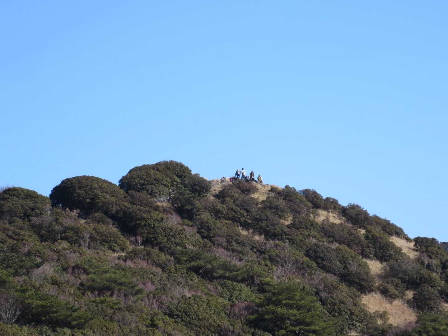 山頂には先客が