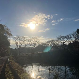 池をのぞきこむと