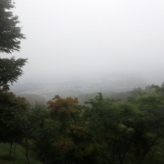 駐車場に戻りました。
トレセンは霧でかすんでいます。