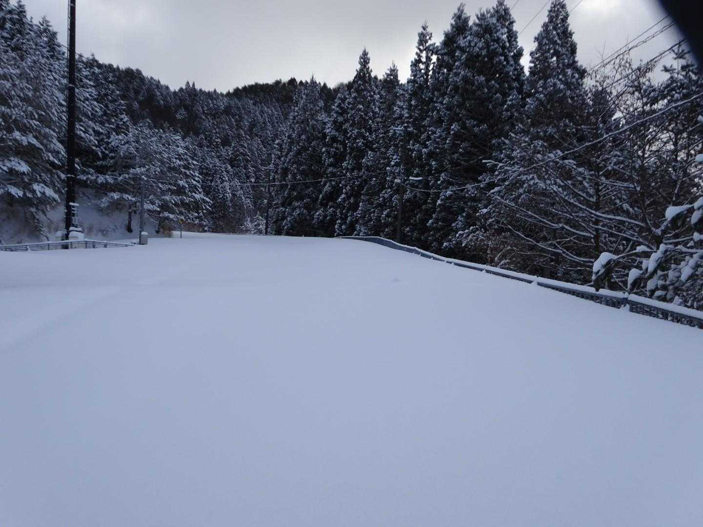 駐車場から登山口までの道路。
真っ白〜⛄
どのくらい積もっているのかと
いうと…