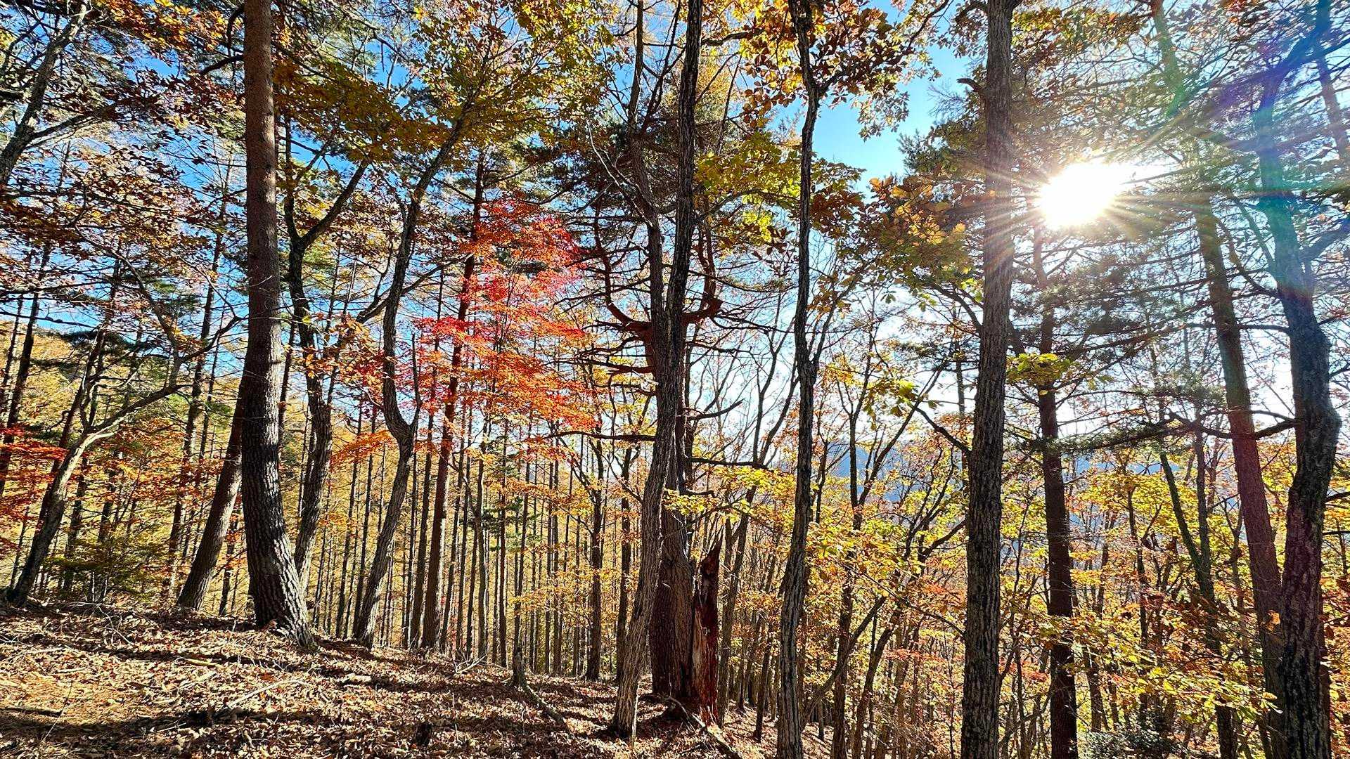 みずがき山自然公園-不動滝-瑞牆山-富士見平小屋 周回コースの写真