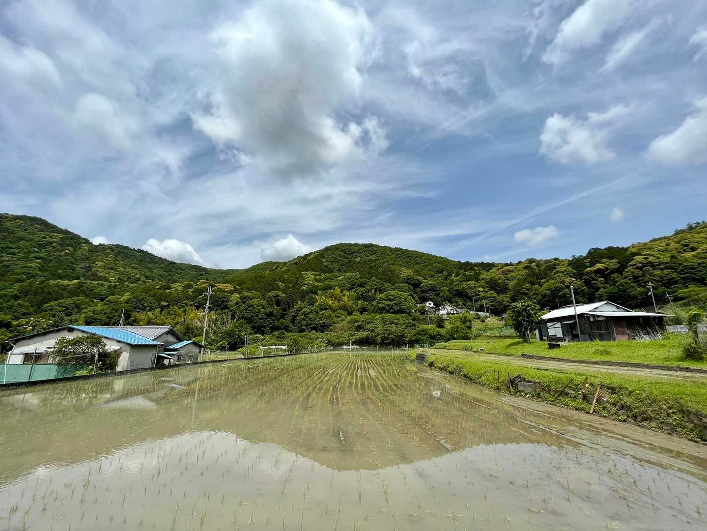 雲は多いがお天気良好🌤️