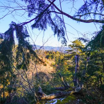 最初の景色の良い場所
