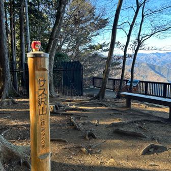 とりあえずサス沢山到着👍