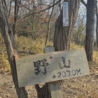 野山～⛰️