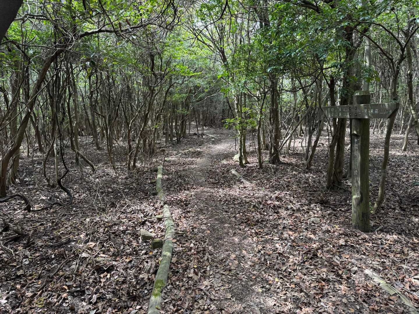 綺麗に整備されてます。