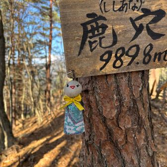 初めて来ました〜
「鹿穴」って書いて「シシアナ」
本日最高到達点989.8m