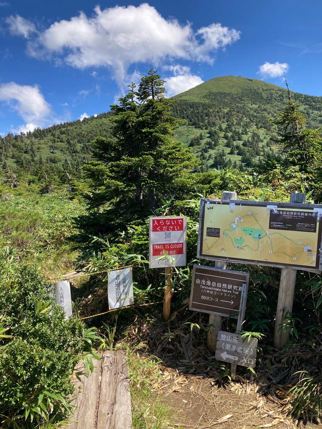 もう少しで解除ですね。楽しみにしてます。