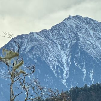 冬の甲斐駒は迫力あるな〜（殺気⚔️）
