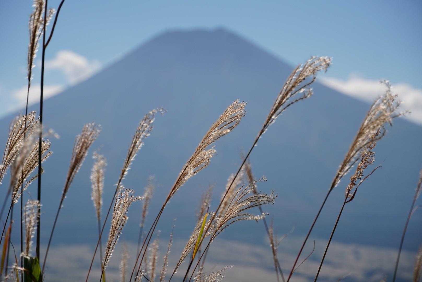 ここでまた富士山の登場です。これだけ真ん前だと、何枚も撮りたくなります。