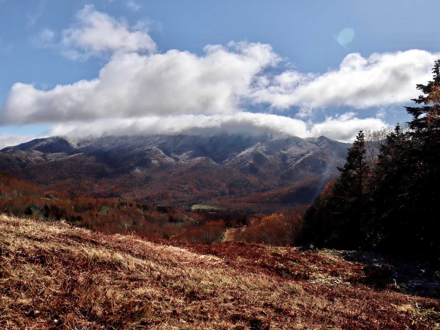 岩菅🏔️の方は雲☁️の中(ﾟДﾟ)
