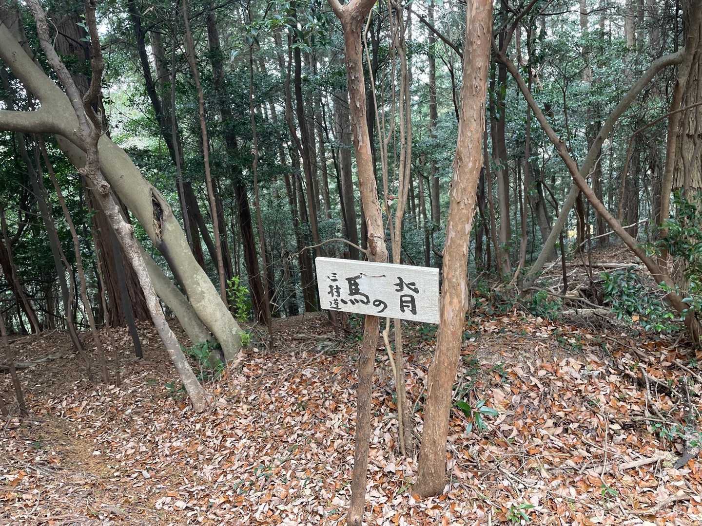 馬の背…😅
いい‼️馬の背って思えば、馬の背