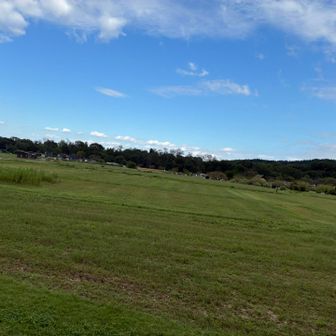 広い公園