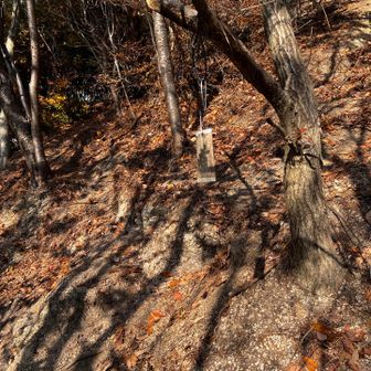 次の山は楽勝だと思っていたら、径が怪しくなった上にこんな看板があり･･･急勾配の真砂土ザレ場を立木にすがりながら登るまさかの難路。