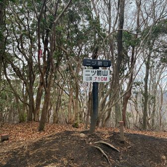 山頂はなだらかで平和でした