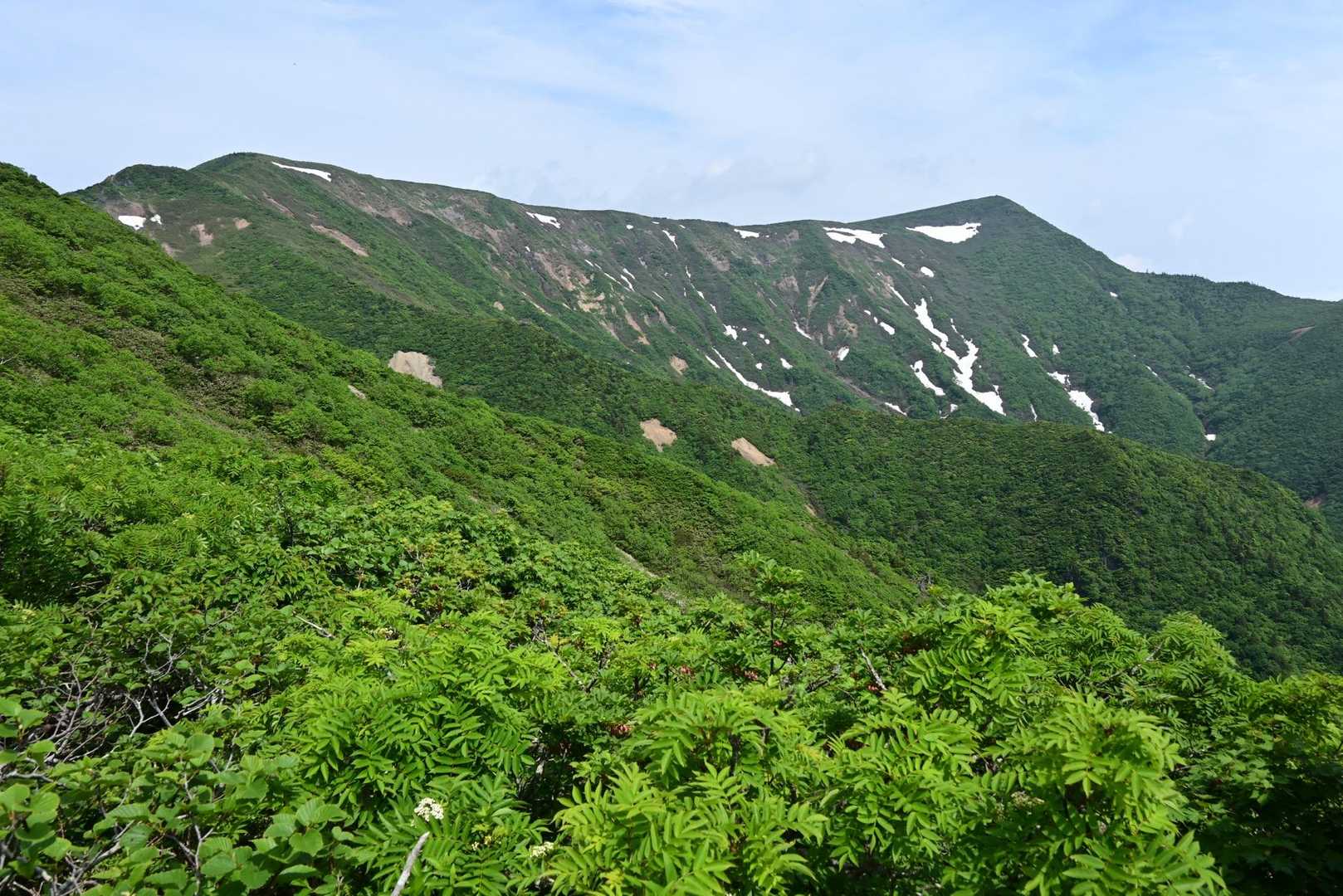 白石スキー場登山口-白石女子校小屋跡-不忘山-南屏風岳 往復コースの写真