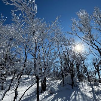 霧氷祭りのスタート✨周りにいたハイカーさん達と大歓声😆