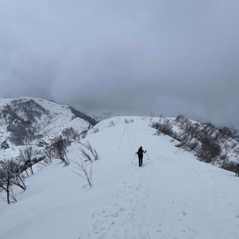 さくっとティータイムして