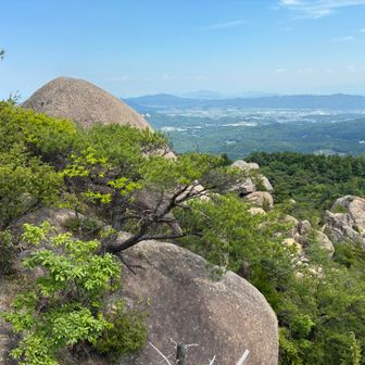 先程の岩の先端部から後天狗岩の全体像を眺める