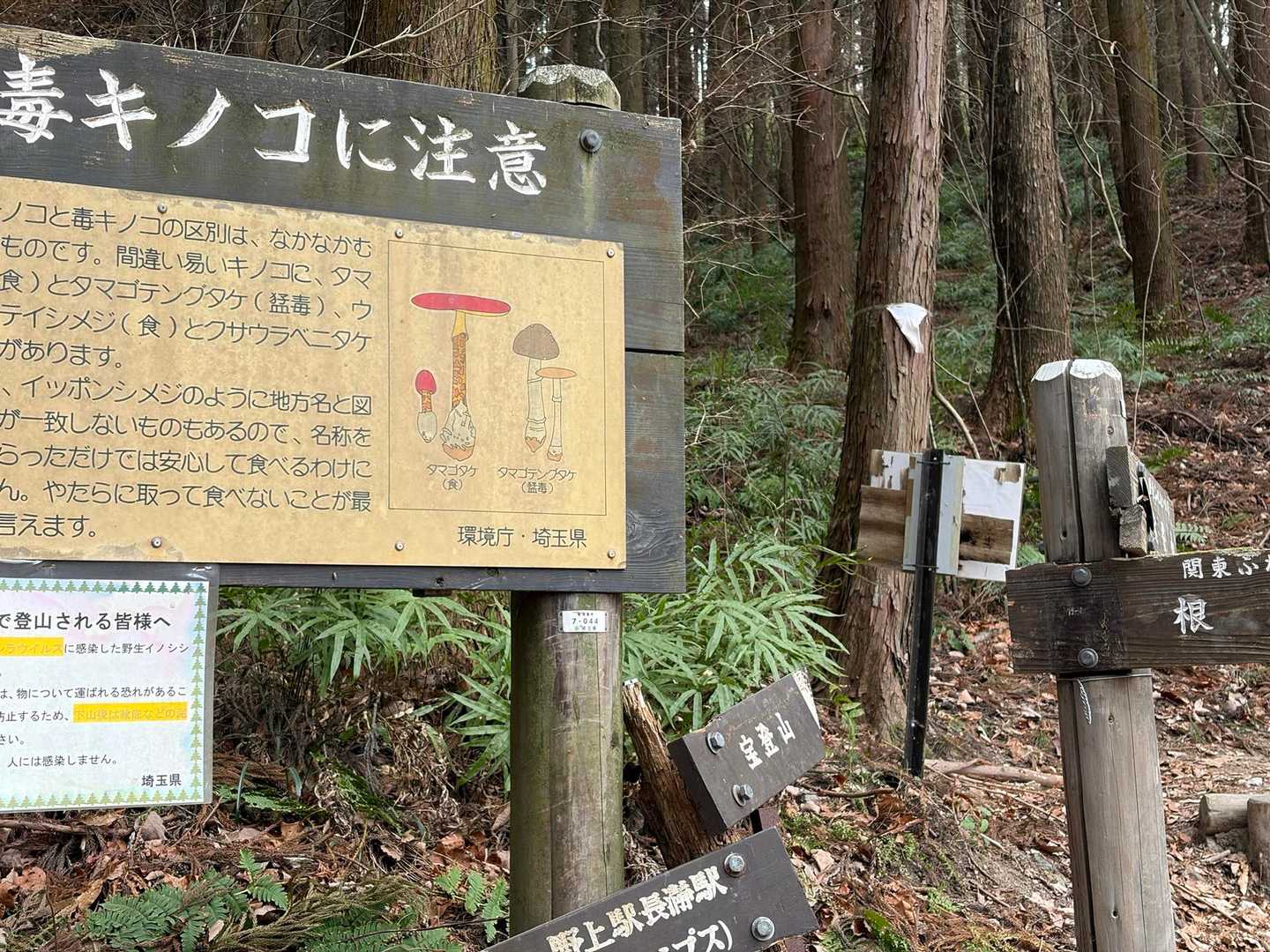 長瀞アルプス コースの写真