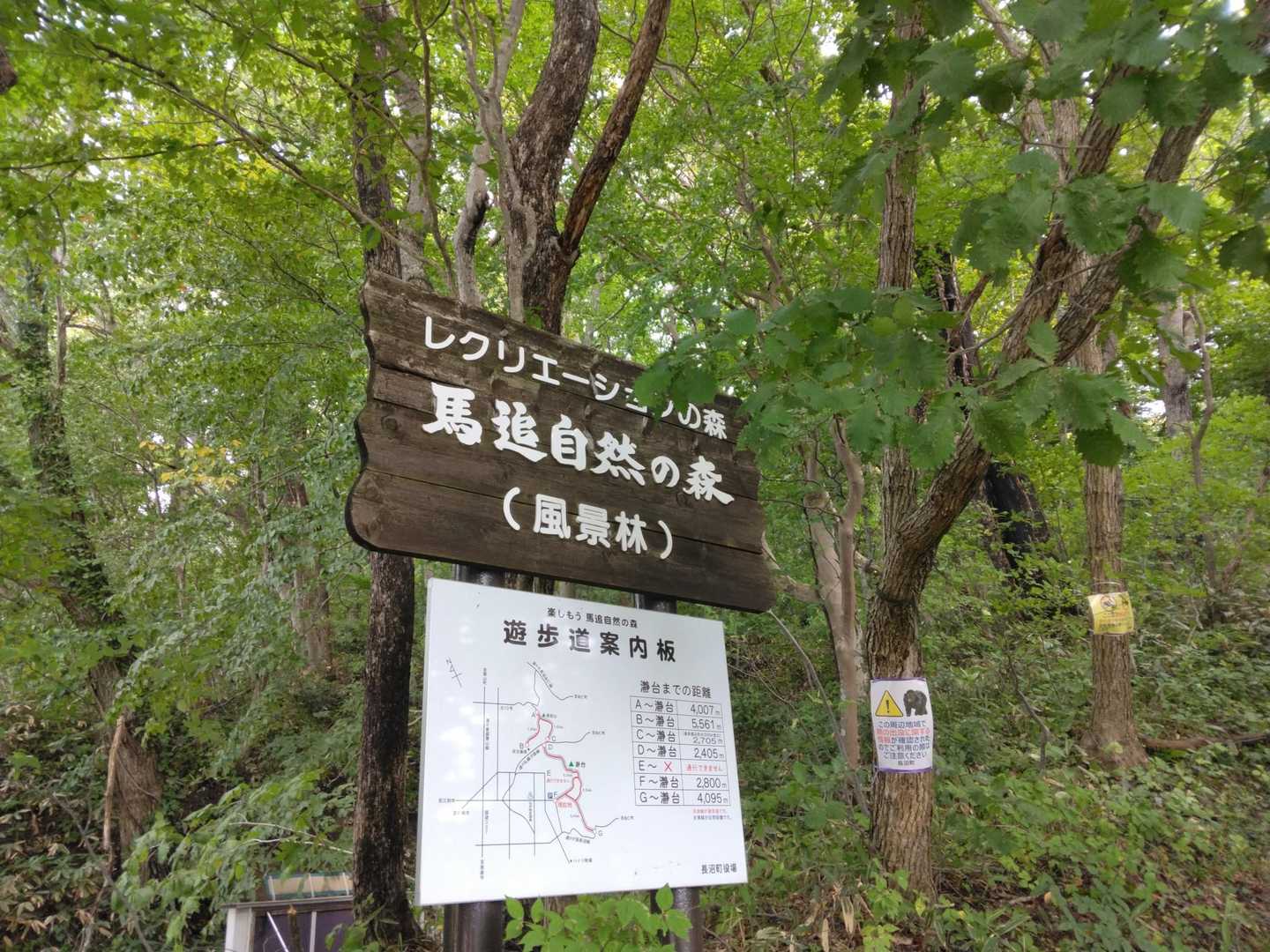 久しぶりの瀞台🍂