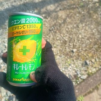 水分とクエン酸チャージ。
疲労回復云々の前に酸っぱい味の物が好きなのです。
糖分の含まれた飲み物は飽きるのでこれくらいのサイズが美味しく飲めて良い。