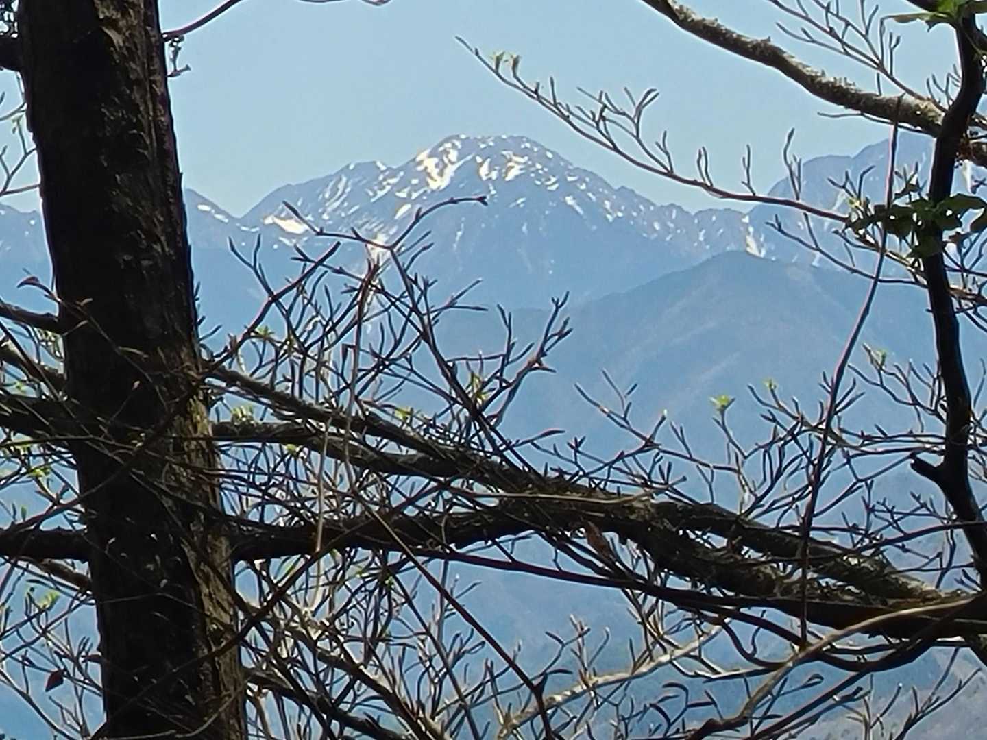 前の写真の左のお山。