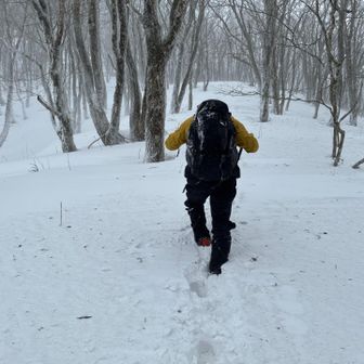 予想外に雪深く体力が削られる