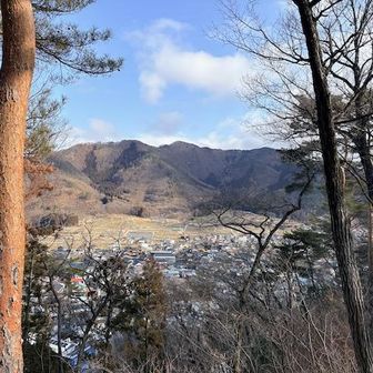 この前、クマに出くわした坂田山だと思う。