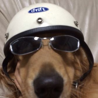 シャイ爺のへっぽこ登山