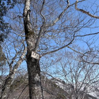 二つ目。
雪が少ないから山名板が遠い。