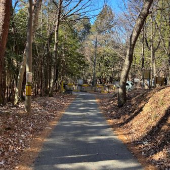 駐車場まで戻って来ました！景色最高で気持ち良く歩けました😊