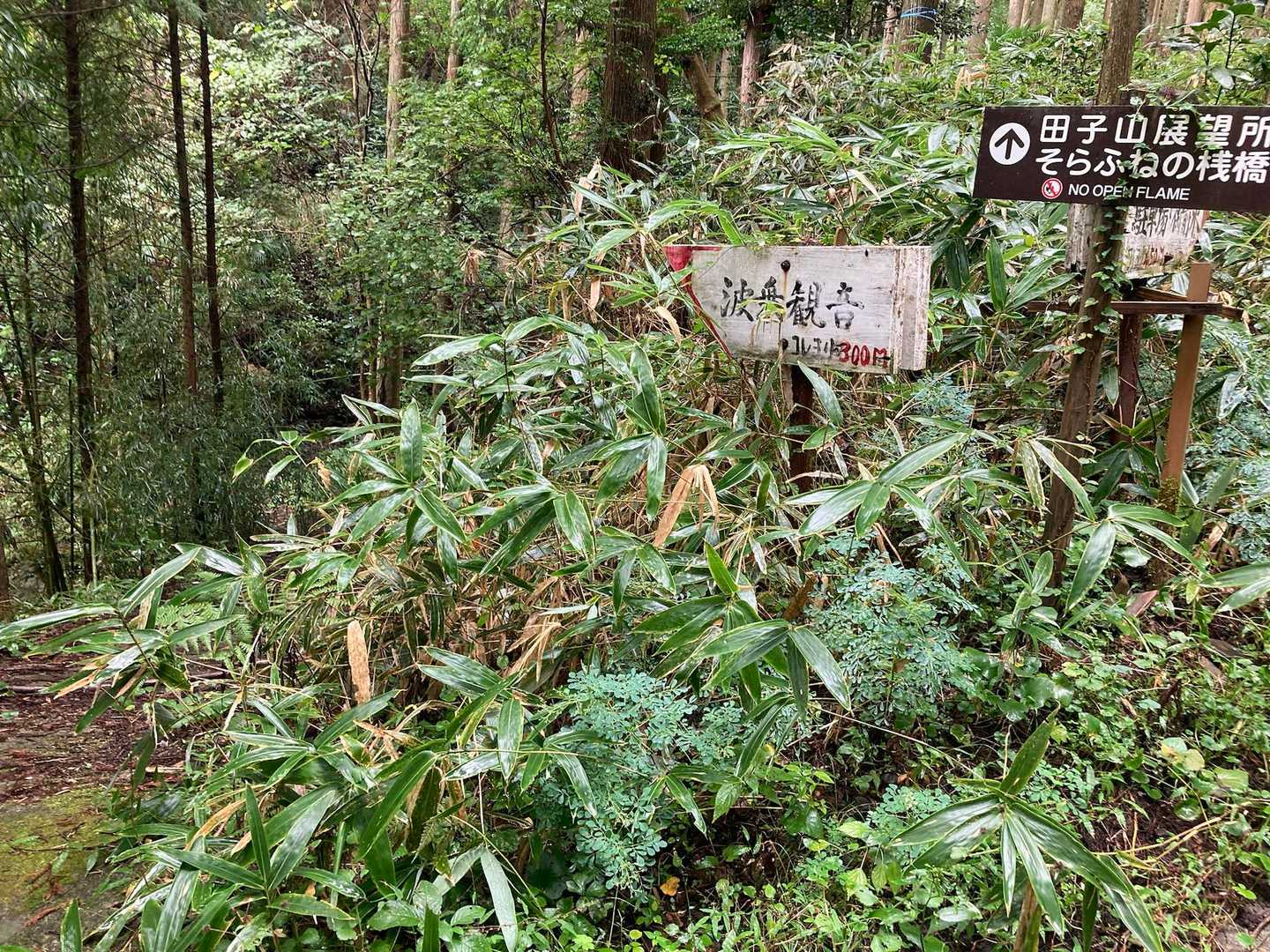 ここを右に入ります➡️
さて、ここからが受難の道、、、