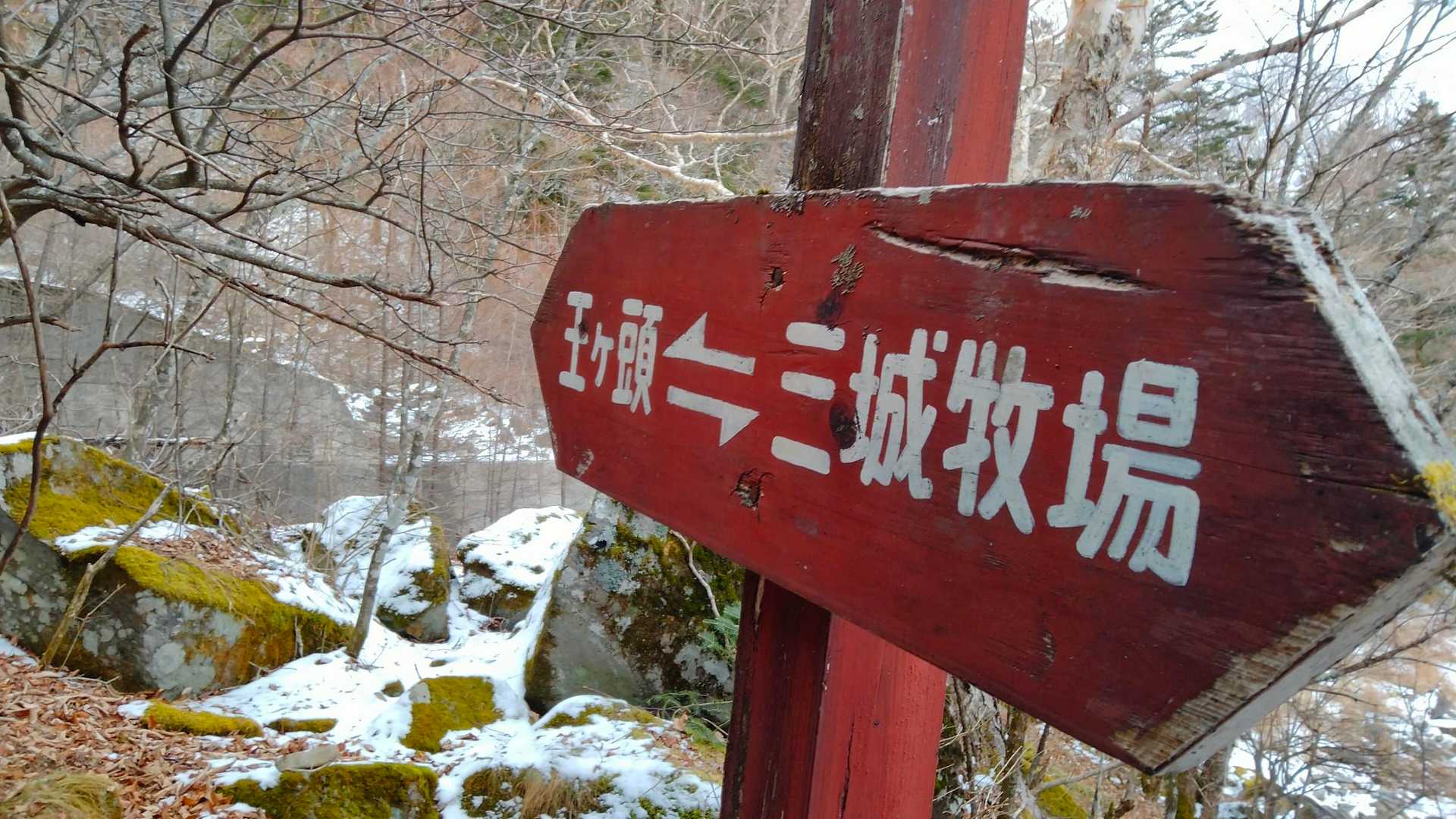 好きなフォント